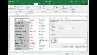 How to Split Cell Data into Different Columns in MS Excel (Text to Columns)