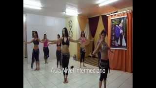 Aulas na Escola de Dança do Ventre Rosi Cruz - Rio Preto