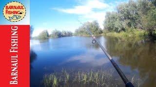 ПРОБНАЯ РЫБАЛКА В МАЕ,ЛОВЛЯ ХИЩНИКА (BARNAUL FISHING)