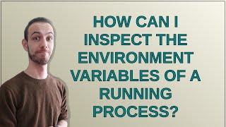 Apple: How can I inspect the environment variables of a running process?