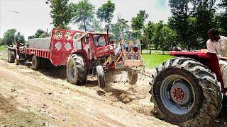 Transporting Heavy Load in Rural Area with 4 Tractors| Tractor Drivers Talent