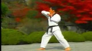 5. Taekwondo Poomsae Taegeuk Oh Jang (WTF)