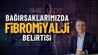 Bağırsaklarımızda fibromiyalji belirtisi | Dr. Mehmet Portakal