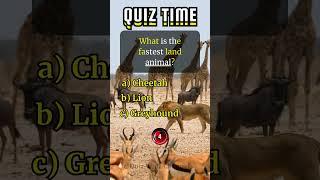 What is the fastest land animal? #quizwhizchannel