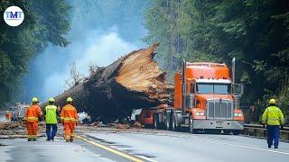 Extremely dangerous monster wood truck driving skills | climbing | heavy load #85