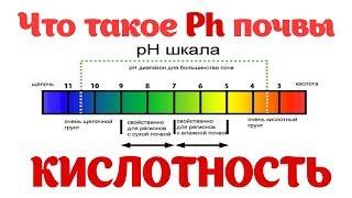 Ph Кислотность почвы. Как получить максимальный урожай? Определить ph почвы