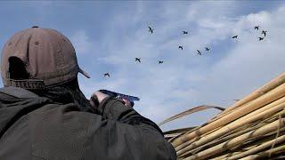 DUCK HUNTING with CARLOTTA MANZOTTI in ESTONIA _ PART 2