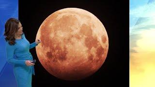 Did you see full worm moon partial lunar eclipse?