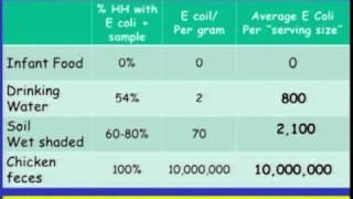 Child Stunting and Environmental Enteropathy - Jean Humphrey, ScD