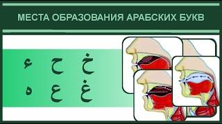 6. Места образования букв غ , خ , ع , ح , هـ , ء  | Айман Сувейд (русские субтитры)