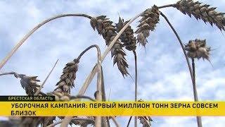 Уборочная кампания: супружеская пара из Брестской области бьёт рекорды