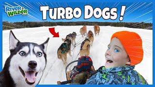 Kids DOG SLEDDING Birthday SURPRISE!? - River & Wilder Family Fun Adventures