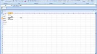 Absolute Cell Reference   Excel 2007