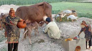 Hussain family vlogs pak village family