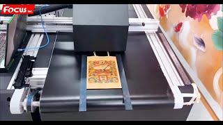 FOCUS INC Single pass direct to packaging printer