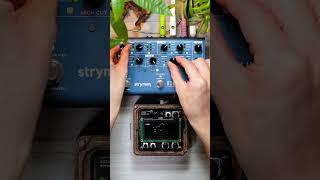 Monome Norns Shield + Strymon NightSky｜Dawless, Ambient, Soundscape, Experimental music　#shorts