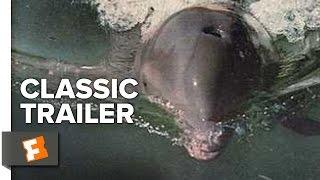 Flipper (1963) Official Trailer - Chuck Connors, Luke Halpin Movie HD