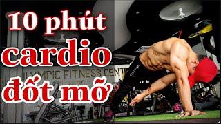 10 Minute High Intensity Cardio (HIIT) Workout At Home