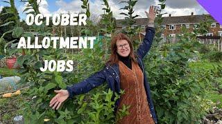 Expert Guide to a THRIVING UK Allotment This October!