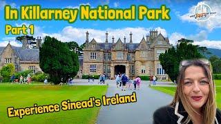 Killarney National Park, Ireland: Part 1 - Muckross House and Torc Waterfall