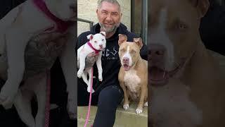 Dave Bautista, Actor and Animal Advocate, Has A Special #GivingTuesday Message for You!