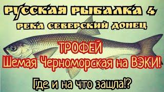 РР4. Северский Донец. ТРОФЕЙ Шемая Черноморская на Вэки при ловле Солнечного окуня! Где ловить!?