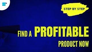 Easy Ways To Find Amazon High Profitable Product Using SellerApp