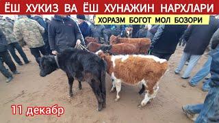 ЁШ ХУКИЗ ВА ЁШ ХУНАЖИН НАРХЛАРИ ХОРАЗМ БОГОТ МОЛ БОЗОРИ 11 ДЕКАБР 2024Г