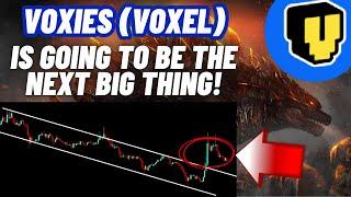 Voxies (VOXEL) Is Going To Be The Next Big Thing