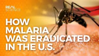 How Malaria Was Eradicated In The U.S.