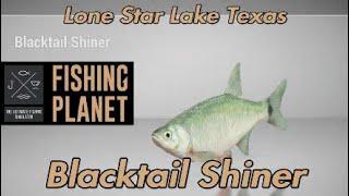 Blacktail Shiner - Lone Star Lake Texas - Fishing Planet