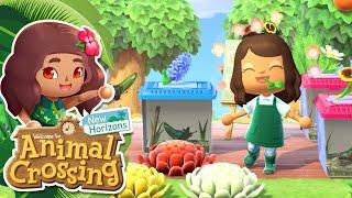 A Fluttery Flowery Butterfly Park!!  Animal Crossing: New Horizons • #44