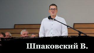 СВИДЕТЕЛЬСТВО // Владимир Шпаковский