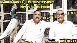 Ustad Kashif Bilal|Kabotaron Ki Qualities or Points|Ustad Raja Iftikhar KaKa|SHOUQ DUBAI|Info|Tips