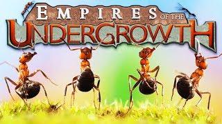 The Ant EMPIRE! - Building a Black ANT COLONY! - Empires of the Undergrowth Gameplay
