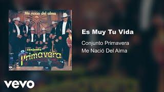 Conjunto Primavera - Es Muy Tu Vida (Audio)