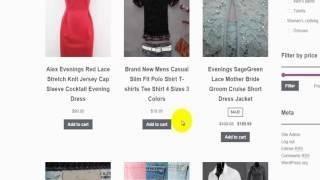 E-COMMERCE website - Adding Products - WP Wordpress Course & tutorial #12