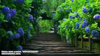 Binaural Beats, Healing Meditation Music, Relaxing Music Meditation, Healing Meditation Music Calm