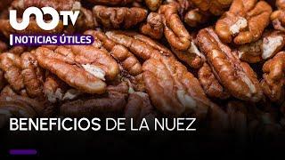 ¿Cuáles son los beneficios de comer un puño de nueces diario?