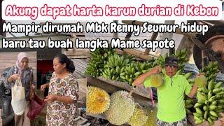 MAMPIR DIRUMAH MBK RENNY DIKASIH BUAH LANGKAH || GAK NYANGKA AKUNG DAPET HARTA KARUN DIKEBON