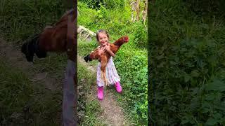 Cómo AGARRAR un GALLO  #gallos  #animalesdelagranja #naturaleza #niños #animales #colombia