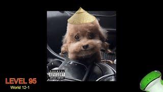 Chinese Dog Rapping (Full Version) (AI)