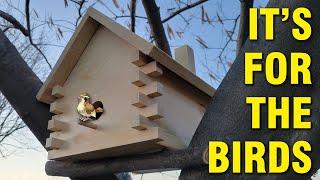 A Birdhouse That Kids Can Build - Free Plans!