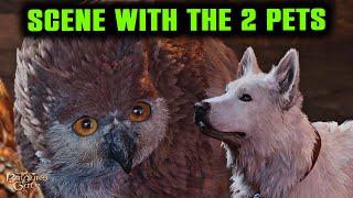 RARE SCENE in Baldur's Gate 3 With Both Pets | Owlbear Cub & Scratch at Camp