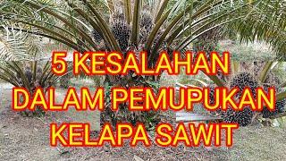 5 kesalahan dalam pemupukan kelapa sawit