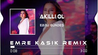 Ebru Gündeş - Akıllı Ol ( Emre Kaşık Remix )