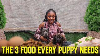 The Perfect Foods For Every Puppy