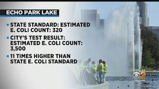 CBS2 Investigation: E. Coli Bacteria In Echo Park Lake Higher Than State Water Quality Standards