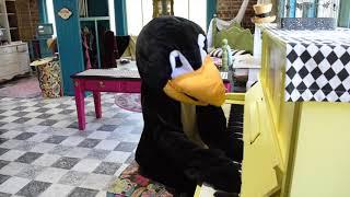 Jiji Plays Piano at Lynn Meadows Discovery Center