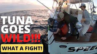 Monster Tuna Goes WILD at Boat (Nearly Cracks Hull!)